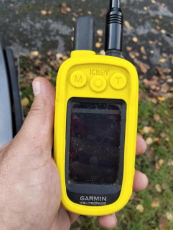 Se vende por cambio de modelo.
2 antenas, funda protectora y cargador.
350 euros 17651074355753295093916884842881.jpg 00