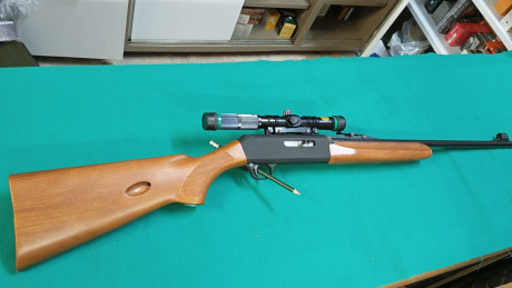 Pongo anuncio a un amigo, franchi desmontable cal. 22, un estado inmejorable, en Segovia, con visor 3-7x20, 00