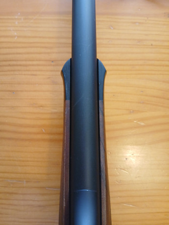 Buenos días a todos:

Para los que tenéis este rifle os comento el problema que tengo. 

En teoría el 90