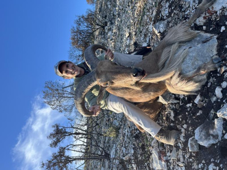 Buenas a todos!
Recientemente me he animado con el famoso 308W
De momento estoy encantado con él, he contratado 111