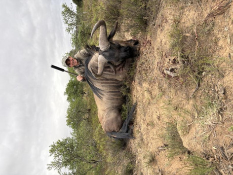 Buenas a todos!
Recientemente me he animado con el famoso 308W
De momento estoy encantado con él, he contratado 110