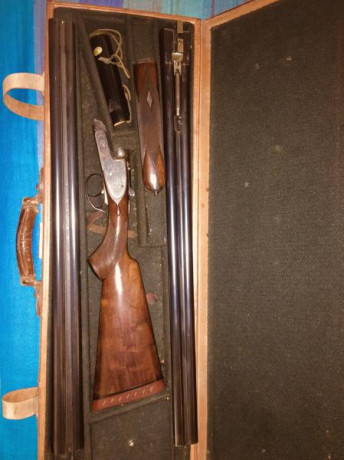 La propiedad me informa que su 212 aceptaria un nuevo custodio pues declina continuar campeandola. La 00