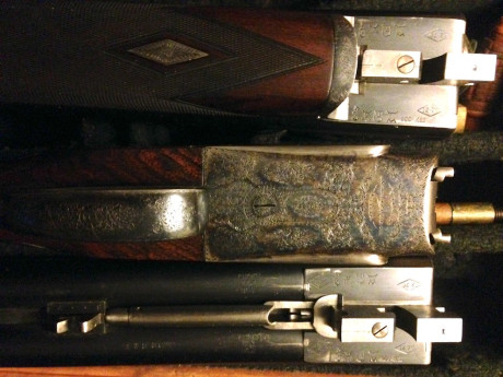 La propiedad me informa que su 212 aceptaria un nuevo custodio pues declina continuar campeandola. La 12