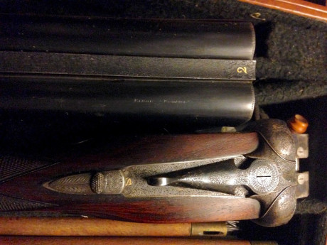 La propiedad me informa que su 212 aceptaria un nuevo custodio pues declina continuar campeandola. La 11