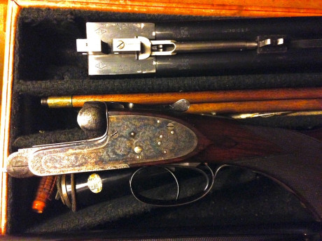 La propiedad me informa que su 212 aceptaria un nuevo custodio pues declina continuar campeandola. La 21