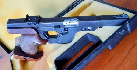 Hola ,buenas tardes.
  BUSCO WALTHER GSP 22   20