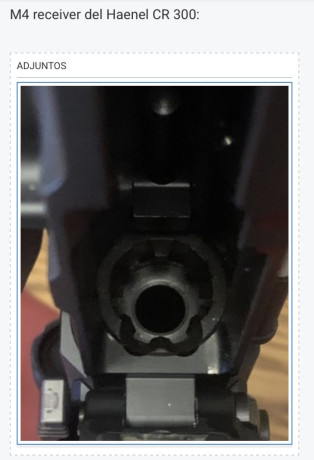 Hola estoy pensando en adquirir un ar15 300 blk de calidad. Y las opciones q considere (pq tampoco hay 00