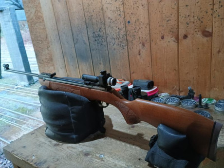 Buenas 

Me está gustando tirar con el diopter. He intentado pasar el de la FWB 300 s a la HW 50 pero 81