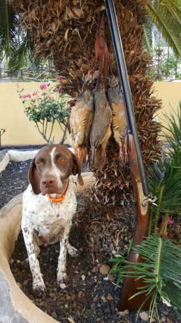 Amigos, viendo que hay interés general en la práctica de la caza con armas de avancarga, abrimos este 130