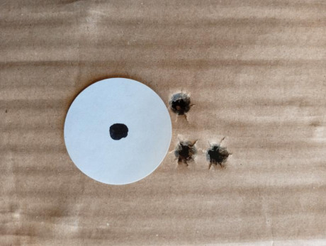 Hola buenas 
E estado buscando información para llenar el espacio vacío entre el proyectil y la pólvora 131