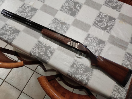 Hola buenas, un amigo vende su escopeta de plato. Se encuentra en Peralta (Navarra), pero se envía si 21