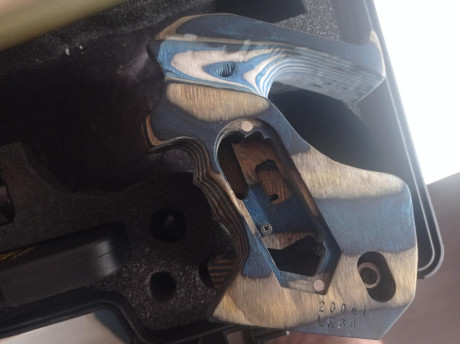 Por cambio de modalidad vendo mi Morini cm200 con la placa electrónica para entrenar con el TF (Repich)lleva 21