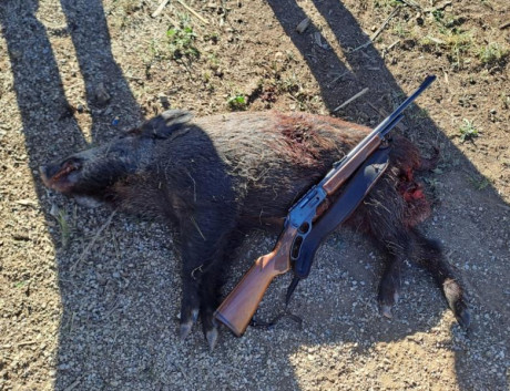 Bueno compañeros intentemos que esto sea un lugar en el que podamos mostrar nuestros Marlin 444 y compartir 30