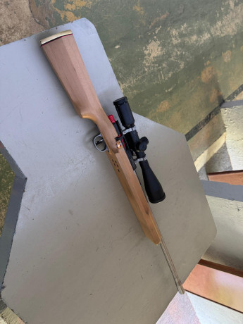 VENTA - Carabina Walther KK500 inox 69cm culata cicognani ligera sin anillas ni visor, en Valencia. 3500€,,,,,La 01