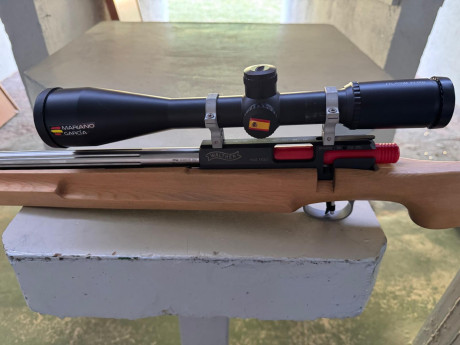 VENTA - Carabina Walther KK500 inox 69cm culata cicognani ligera sin anillas ni visor, en Valencia. 3500€,,,,,La 00