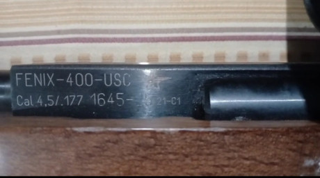 Vendo con mira westhunter,  por 300 euros, quieto pasarme a PCP y sacrifico esta 01