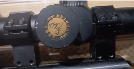 Vendo con mira westhunter,  por 300 euros, quieto pasarme a PCP y sacrifico esta 00