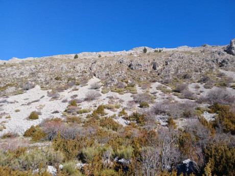 Ya sabéis que me gusta escribir las cacerías, aquí tenéis mi ultima aventura por si os apetece leerla.


 112