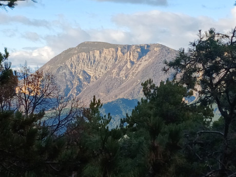 Ya sabéis que me gusta escribir las cacerías, aquí tenéis mi ultima aventura por si os apetece leerla.


 121