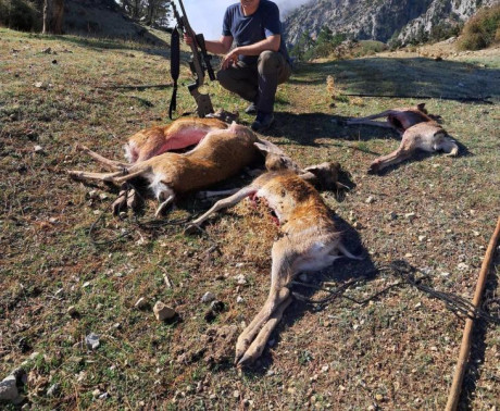 Hola a todos:
Soy recechista. En algunas comunidades hace tiempo ya están prohibiendo la munición con 42