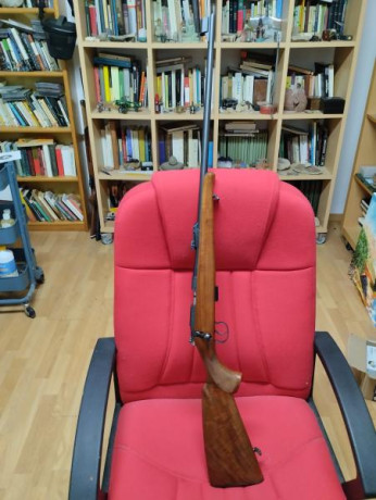 Vendo carabina Brno 22lr en muy buen estado, muy cuidada y con impresionante precisión. Lleva un alza 11