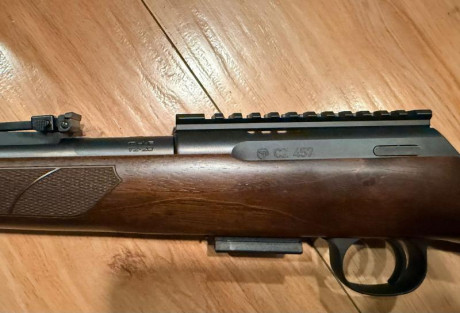 Hola amigos, estoy leyendo mucho pero por separado de nuestras queridas CZ | Brno del .22LR. Se podría 122