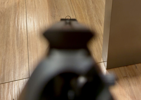 Hola amigos, estoy leyendo mucho pero por separado de nuestras queridas CZ | Brno del .22LR. Se podría 120