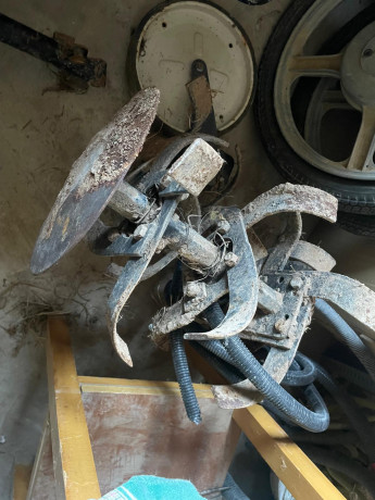 Cambio mula mecánica por Rifle de 22 LR que me pueda convenir. Está en la provincia de Albacete. Gracias. 02