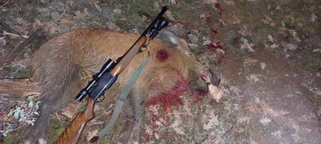 Se que las ultimas series de estos rifles fueron el modelo Safari. Tambien se que los ultimos llevaban 41