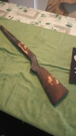 Buenos días tiradores,

Hace poco me hice con una Winchester Wildcat calibre 22LR que incluía un cargador 122