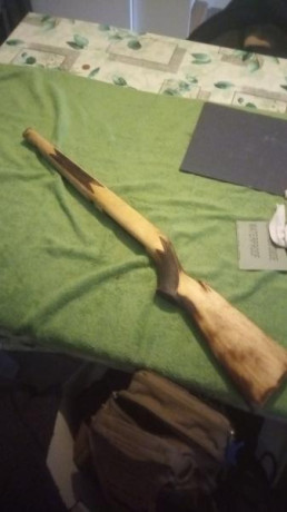 Buenos días tiradores,

Hace poco me hice con una Winchester Wildcat calibre 22LR que incluía un cargador 121