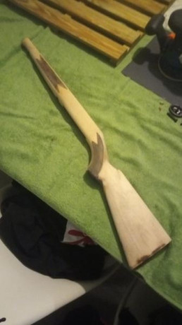 Buenos días tiradores,

Hace poco me hice con una Winchester Wildcat calibre 22LR que incluía un cargador 120