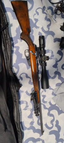 Buenos días tiradores,

Hace poco me hice con una Winchester Wildcat calibre 22LR que incluía un cargador 140