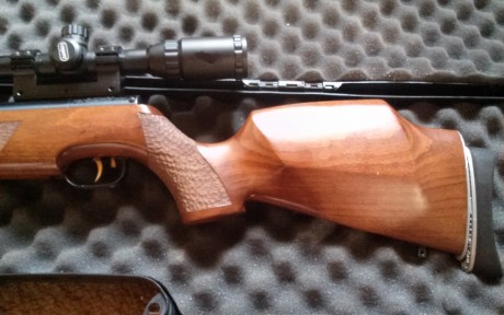 Pues eso, busco mi antigua carabina.
La vendí en este foro junto a una 98 pero no recuerdo el forero.
Solo 30