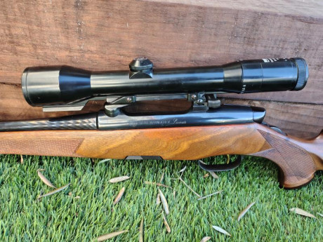  Buenas tardes

Pongo en venta un Steyr Mannlicher Luxus Stutzen en calibre 270W.

* Cañón de 20"
* 22