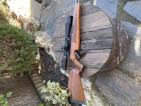 Vendo carabina Air-Arms MKIII 4.5 completamente nueva usada una sola vez no mas de 50 disparos.
Tl.669030936 01