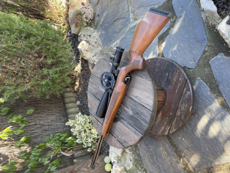 Vendo carabina Air-Arms MKIII 4.5 completamente nueva usada una sola vez no mas de 50 disparos.
Tl.669030936 00