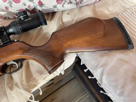 Vendo carabina AirArms TX200 madera de haya completamente nueva usada un dia,no ha tirado mas de 100 disparos.
Tl. 00