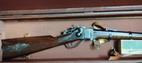 Vendo rifle Sharp de Pedersoli, muy poco uso, practicamente nuevo. Calibre 45/70. Dos turquesas (100 mt. 02