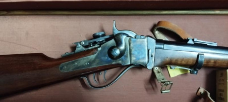 Vendo rifle Sharp de Pedersoli, muy poco uso, practicamente nuevo. Calibre 45/70. Dos turquesas (100 mt. 00