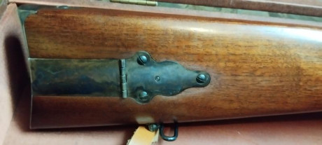 Vendo rifle Sharp de Pedersoli, muy poco uso, practicamente nuevo. Calibre 45/70. Dos turquesas (100 mt. 32