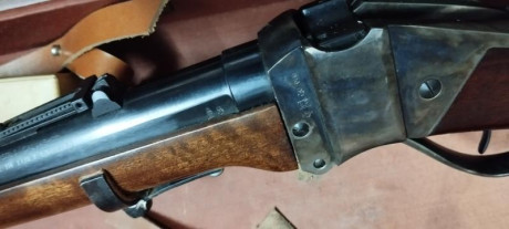 Vendo rifle Sharp de Pedersoli, muy poco uso, practicamente nuevo. Calibre 45/70. Dos turquesas (100 mt. 30