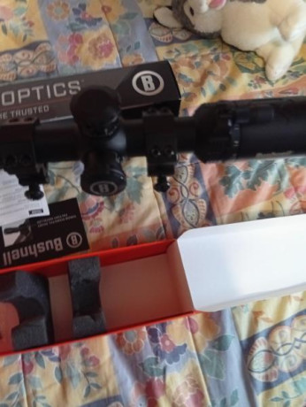 Vedo visor Bushnell AR optics 
200€ anillas y envío 
Saludos  IMG_20260114_114618.jpg IMG_20260114_114624.jpg 02