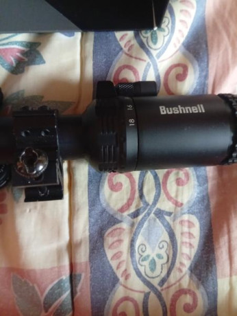 Vedo visor Bushnell AR optics 
200€ anillas y envío 
Saludos  IMG_20260114_114618.jpg IMG_20260114_114624.jpg 01