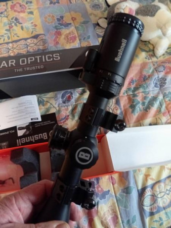 Vedo visor Bushnell AR optics 
200€ anillas y envío 
Saludos  IMG_20260114_114618.jpg IMG_20260114_114624.jpg 00