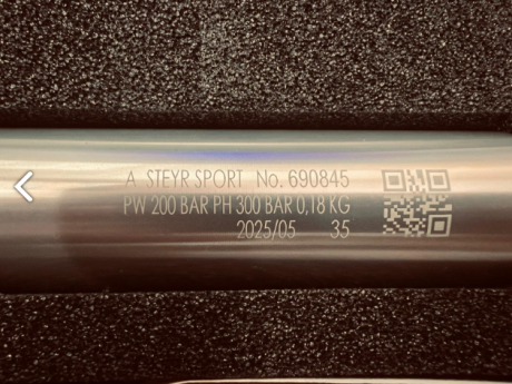 Se vende Steyr LP50 nueva comprada en Junio de 2025. No ha tirado una lata de balines. Empuñadura talla 00