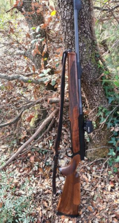 Mi compañero vende este Sauer 303, 300 WM, con maderas grado superior y culata con sube y baja rematada 50