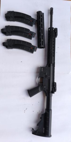 Se vende carabina S&W mp 15-22, lleva disparador Tiger de 3 lb y guardamanos metálico más el original,tres 01