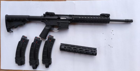 Se vende carabina S&W mp 15-22, lleva disparador Tiger de 3 lb y guardamanos metálico más el original,tres 00