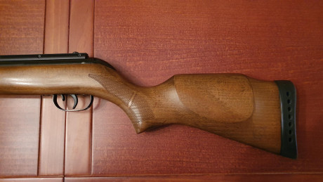 Se vende una carabina de aire comprimido, una  Gamo Hunter 440 del calibre 5,5 .

Carabina potente de 11